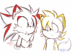 Size: 2048x1574 | Tagged: safe, artist:odiomiexistenci, oc, fox, hedgehog, hybrid, 2024, duo, fankid, frown, hedgefox, looking at each other, magical gay spawn, one eye closed, parent:shadow, parent:sonic, parent:tails, parents:shadails, parents:sontails, ship name, simple background, sketch, white background