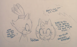 Size: 540x331 | Tagged: safe, artist:askamaze, amy rose, blaze the cat, cat, hedgehog, 2018, amy x blaze, cute, english text, female, females only, lesbian, line art, looking at each other, shipping, sketch, talking, traditional media