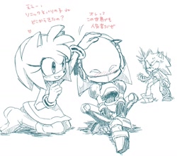 Size: 1400x1237 | Tagged: safe, artist:sa_a__a_, amy rose, sonic the hedgehog, chaos sonic, japanese text