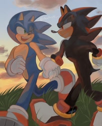 Size: 960x1180 | Tagged: safe, artist:i5uckers_ie, shadow the hedgehog, sonic the hedgehog, 2024, abstract background, clouds, duo, gay, grass, holding hands, lidded eyes, looking at each other, outdoors, shadow x sonic, shipping, smile, sunset, wink