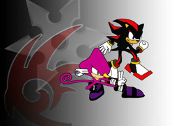 Size: 1024x746 | Tagged: safe, artist:shadow-and-espio, espio the chameleon, shadow the hedgehog, 2013, duo, frown, gradient background, looking ahead, looking offscreen, ninja star, shadow's logo
