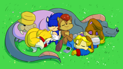 Size: 1920x1080 | Tagged: safe, artist:starlitskvader, antoine d'coolette, bunnie rabbot, dulcy the dragon, miles "tails" prower, rotor walrus, sally acorn, sonic the hedgehog, sleeping