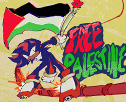Size: 2048x1671 | Tagged: safe, artist:breadbugg, shadow the hedgehog, abstract background, country flag, english text, flag, free palestine, holding something, palestine flag, rail, rail grinding, solo