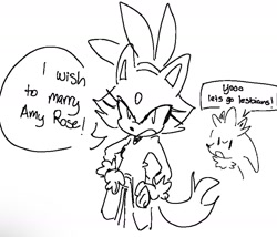 Size: 1638x1401 | Tagged: safe, artist:hydrappled, amy rose, blaze the cat, silver the hedgehog, cat, hedgehog, 2024, amy x blaze, dialogue, duo, english text, female, hands on hips, lesbian, line art, looking offscreen, male, shipping