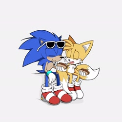 Size: 2048x2048 | Tagged: safe, artist:chelsiegeorgia, miles "tails" prower, sonic the hedgehog, sonic adventure, blushing, chili dog, duo, eating, eyes closed, food, holding something, one fang, signature, simple background, sitting, smile, sunglasses, white background