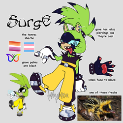 Size: 2048x2048 | Tagged: safe, artist:autisminfinite, surge the tenrec, adhd, adhd symbol, blue sclera, character name, devil horns (gesture), english text, eyelashes, grey background, lesbian, looking at viewer, mouth open, pride flag, redraw, reference inset, sharp teeth, signature, simple background, smile, solo, standing on one leg, tongue out, tongue peircing, trans female, transgender