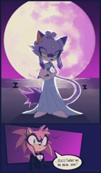 Size: 1194x2048 | Tagged: safe, artist:best_j_monster, amy rose, blaze the cat, cat, hedgehog, 2024, alternate universe, amy x blaze, crossover, cute, english text, female, females only, lesbian, shipping, speech bubble, teen titans