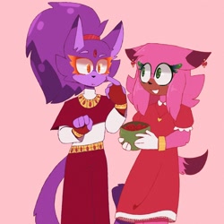 Size: 2048x2048 | Tagged: safe, artist:spikedpunkz, amy rose, blaze the cat, cat, hedgehog, 2024, amy x blaze, cute, female, females only, lesbian, looking at each other, shipping