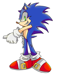 Size: 1064x1222 | Tagged: safe, artist:raayuie, sonic the hedgehog, cheek fluff, leg fluff, looking at viewer, outline, redraw, shoulder fluff, simple background, smile, solo, standing, transparent background