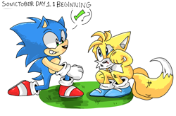 Size: 1201x787 | Tagged: safe, artist:raayuie, miles "tails" prower, sonic the hedgehog, crouching, duo, grass, injured, looking at each other, scratch (injury), simple background, sonictober, sonictober (2023), tears, transparent background