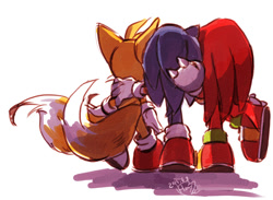 Size: 700x513 | Tagged: safe, artist:hanybe, knuckles the echidna, miles "tails" prower, sonic the hedgehog, 2013, back view, holding each other, shadow (lighting), signature, simple background, team sonic, trio, walking, white background