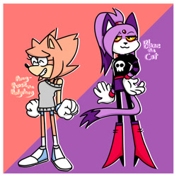 Size: 1100x1100 | Tagged: safe, artist:ddeeric, amy rose, blaze the cat, cat, hedgehog, 2018, amy x blaze, cute, eyes closed, female, females only, lesbian, looking at viewer, shipping