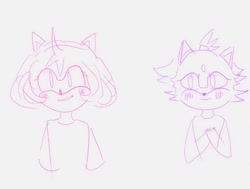 Size: 1271x960 | Tagged: safe, artist:gotta-go-fast, amy rose, blaze the cat, cat, hedgehog, 2024, amy x blaze, cute, female, females only, lesbian, line art, looking at them, looking at viewer, shipping, sketch