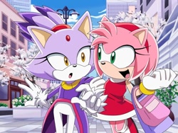 Size: 1000x750 | Tagged: safe, artist:y-firestar, amy rose, blaze the cat, cat, hedgehog, 2024, amy x blaze, amy's halterneck dress, bag, blaze's tailcoat, cute, fake screenshot, female, females only, holding arm, lesbian, looking at each other, shipping, sonic x style