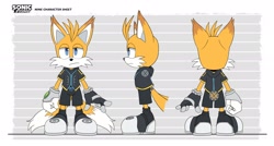 Size: 2048x1098 | Tagged: dead source, safe, artist:thatbirdguy_, miles "tails" prower, nine, sonic prime, back view, flat colors, front view, frown, reference sheet, side view, solo, standing