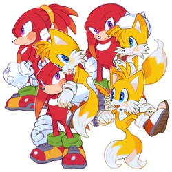 Size: 2048x2048 | Tagged: safe, artist:mossan315, knuckles the echidna, miles "tails" prower, 2022, blushing, cute, duo, hand on another's head, holding them, knucklebetes, simple background, tailabetes, white background
