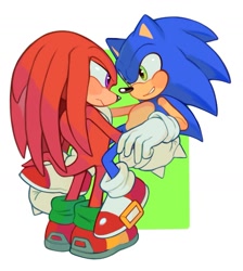 Size: 1347x1503 | Tagged: safe, artist:mossan315, knuckles the echidna, sonic the hedgehog, 2022, abstract background, blushing, carrying them, cute, duo, frown, gay, knucklebetes, knuxonic, looking at each other, shipping, smile, sonabetes, standing