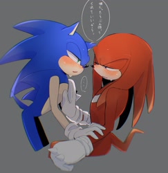 Size: 1990x2048 | Tagged: suggestive, artist:04suki_tina, knuckles the echidna, sonic the hedgehog, ..., blushing, dialogue, duo, gay, grey background, japanese text, knuxonic, lidded eyes, looking at each other, mouth open, shipping, simple background, speech bubble, standing, sweat