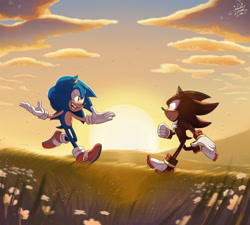 Size: 2048x1843 | Tagged: safe, artist:galaxylover06, shadow the hedgehog, sonic the hedgehog, clouds, duo, flower, gay, grass, looking at each other, mouth open, outdoors, running, shadow x sonic, shipping, signature, smile, sun, sunset