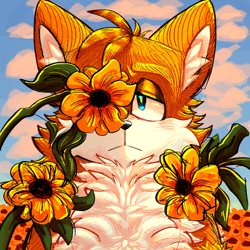 Size: 1378x1378 | Tagged: safe, artist:milezperprower, miles "tails" prower, :<, abstract background, clouds, daytime, ear fluff, flower, frown, lidded eyes, looking at viewer, outdoors, solo, sunflower