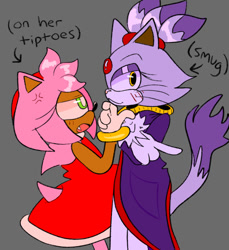 Size: 540x590 | Tagged: safe, artist:wozak, amy rose, blaze the cat, cat, hedgehog, 2024, amy x blaze, blaze's tailcoat, cute, female, females only, lesbian, looking at them, looking at viewer, shipping, smug, whiskers