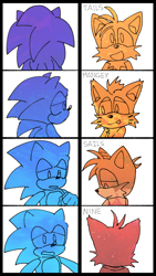 Size: 720x1280 | Tagged: safe, artist:teh-cr-stuff, mangey, miles "tails" prower, nine, sails, sonic the hedgehog, sonic prime, character name, duo, panels, simple background, white background