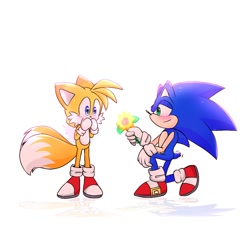 Size: 1280x1280 | Tagged: safe, artist:nekitogame67025, miles "tails" prower, sonic the hedgehog, 2024, blushing, covering mouth, duo, flower, gay, kneeling, looking at each other, offering flower, shipping, signature, sonic x tails