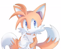 Size: 2048x1656 | Tagged: safe, artist:mary7ka55778, miles "tails" prower, 2024, looking offscreen, mouth open, simple background, solo, white background