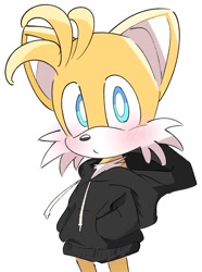 Size: 756x1014 | Tagged: safe, artist:reisandoite, miles "tails" prower, 2024, blushing, hands in pocket, hoodie, looking at viewer, pout, simple background, solo, standing, white background