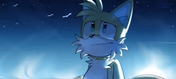 Size: 2048x922 | Tagged: safe, artist:thatbirdguy_, miles "tails" prower, bird, 2024, crying, literal animal, looking up, sad, smile, solo, standing, tears