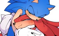 Size: 1463x905 | Tagged: safe, artist:sk_rokuro, knuckles the echidna, sonic the hedgehog, 2024, blushing, duo, gay, hugging, knuxonic, lidded eyes, shipping, simple background, white background