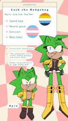 Size: 1080x1920 | Tagged: safe, artist:head---ache, oc, oc:lash the hedgehog, hedgehog, abstract background, ace, aromantic, clothes, english text, fankid, female, parent:fiona, parent:scourge, parents:scouriona, reference sheet, smile, solo, standing, trans female, transgender