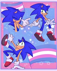 Size: 640x795 | Tagged: safe, artist:glitchedcosmos, sonic the hedgehog, 2024, abstract background, flag, looking at viewer, pride, pride flag, smile, solo, star (symbol), tongue out, top surgery scars, trans male, trans pride, trans visibility day, transgender, wink