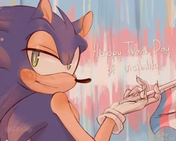 Size: 2048x1638 | Tagged: safe, artist:gr-cup, sonic the hedgehog, 2024, blushing, english text, flag, holding something, lidded eyes, pride, pride flag, pride flag background, signature, smile, solo, trans male, trans pride, trans visibility day, transgender