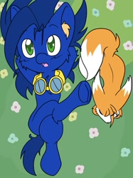 Size: 1533x2048 | Tagged: safe, artist:steelsoul, miles "tails" prower, sonic the hedgehog, crossover, duo, earth pony, eyes closed, flower, fluffy, goggles, goggles around neck, grass, legs crossed, looking up, lying down, my little pony, ponified, pony, species swap
