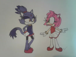 Size: 1280x960 | Tagged: safe, artist:ajunkersgamble, amy rose, blaze the cat, cat, hedgehog, 2021, amy x blaze, cute, female, females only, gymnastic outfit, lesbian, looking at each other, mario & sonic at the olympic games, one eye closed, shipping, traditional media