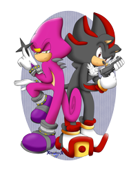Size: 1582x1948 | Tagged: safe, artist:xshadilverx, espio the chameleon, shadow the hedgehog, 2013, duo, frown, gun, holding something, lidded eyes, looking at viewer, ninja star, semi-transparent background, standing, standing on one leg