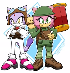 Size: 1966x2048 | Tagged: safe, artist:omegaziro, amy rose, blaze the cat, cat, hedgehog, 2024, amy x blaze, arms folded, female, females only, lesbian, looking at viewer, piko piko hammer, shipping
