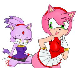 Size: 1024x897 | Tagged: suggestive, artist:princesslunablaze, amy rose, blaze the cat, cat, hedgehog, 2017, amy x blaze, female, females only, gymnastic outfit, lesbian, mario & sonic at the olympic games, shipping