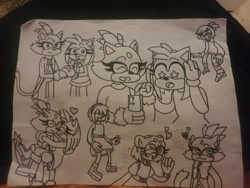 Size: 2048x1536 | Tagged: safe, artist:montcraftrose, amy rose, blaze the cat, cat, hedgehog, 2024, amy x blaze, carrying them, cute, female, females only, hearts, holding hands, lesbian, line art, mario & sonic at the olympic games, one eye closed, phone, shipping, sketch, traditional media