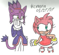 Size: 821x767 | Tagged: safe, artist:cmara, amy rose, blaze the cat, cat, hedgehog, 2017, amy x blaze, amy's halterneck dress, blaze's tailcoat, cute, female, females only, lesbian, looking at them, shipping, traditional media