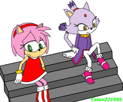 Size: 600x496 | Tagged: safe, artist:fixerschannel, amy rose, blaze the cat, cat, hedgehog, 2016, amy x blaze, amy's halterneck dress, blaze's tailcoat, cute, female, females only, lesbian, looking at them, shipping, sitting