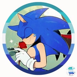Size: 736x736 | Tagged: safe, artist:𝗠𝗶ᧉ۪𝑳ᥫ᭡, sonic the hedgehog, edit, gay, icon, mlm pride, pride, pride flag, rose, simple background, solo, white background