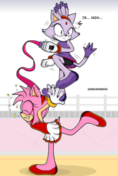 Size: 3000x4483 | Tagged: safe, artist:carlosonicool, amy rose, blaze the cat, cat, hedgehog, 2023, amy x blaze, cute, english text, eyes closed, female, females only, gymnastic outfit, lesbian, mario & sonic at the olympic games, shipping, smile, sparkles