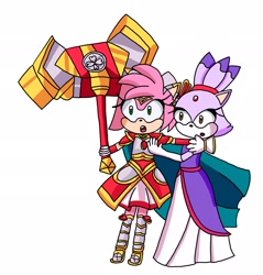 Size: 1957x2048 | Tagged: safe, artist:lesbiansonamy, amy rose, blaze the cat, cat, hedgehog, 2024, amy x blaze, cute, female, females only, hammer, holding them, lesbian, looking at them, shipping