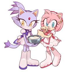 Size: 1100x1100 | Tagged: safe, artist:d1nga, amy rose, blaze the cat, cat, hedgehog, 2019, amy x blaze, cute, female, females only, lesbian, looking at viewer, shipping