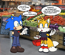 Size: 2047x1719 | Tagged: safe, artist:blynxee, miles "tails" prower, sonic the hedgehog, basket, chain, clothes, dialogue, duo, english text, pants, shirt, skirt, smile, speech bubble, standing, trans female, transgender