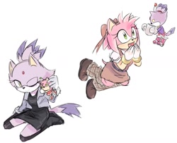 Size: 1280x1041 | Tagged: safe, artist:nottsukkomia, amy rose, blaze the cat, cat, hedgehog, 2024, amy x blaze, cute, doll, female, females only, lesbian, looking at them, one eye closed, shipping
