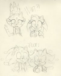 Size: 1280x1583 | Tagged: safe, artist:askamaze, amy rose, blaze the cat, shadow the hedgehog, sonic the hedgehog, cat, hedgehog, 2018, amy x blaze, cute, english text, female, gay, lesbian, line art, looking at viewer, male, shadow x sonic, shipping, sketch, traditional media, transformation