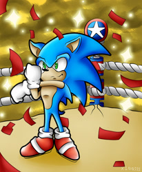 Size: 1024x1244 | Tagged: safe, artist:xin0555, sonic the hedgehog, 2019, abstract background, confetti, smile, solo, sparkles, stretching, wrestling ring